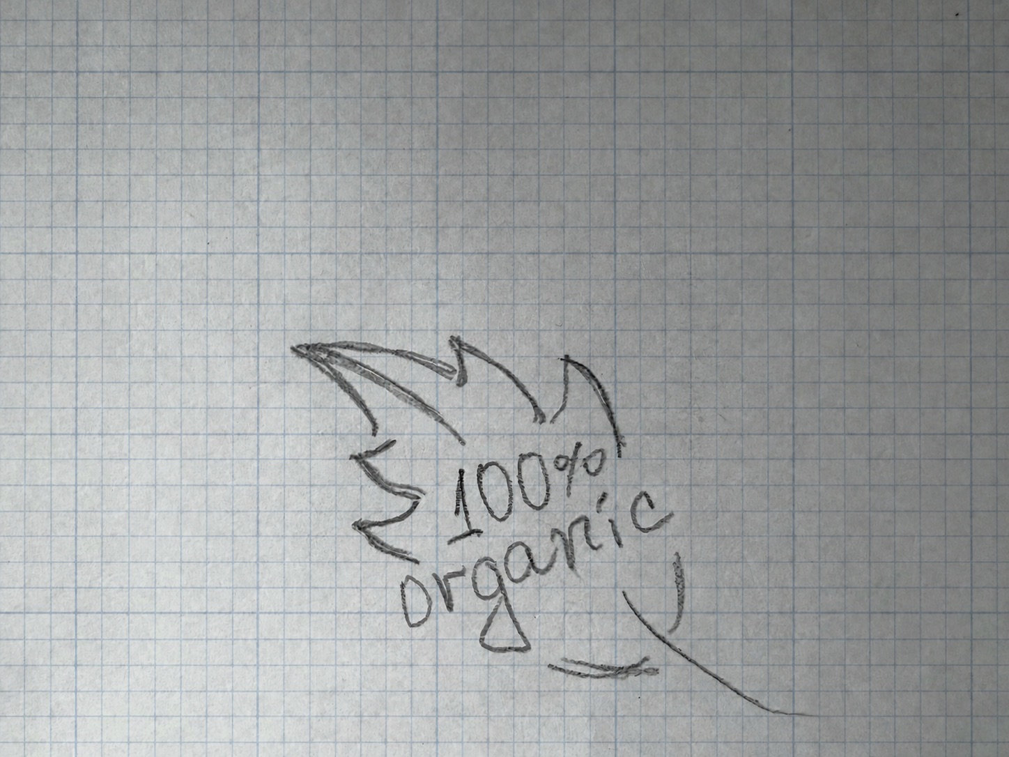 Hand-drawn 100% organic lettering and sketch on paper with a blue-grey drafting grid